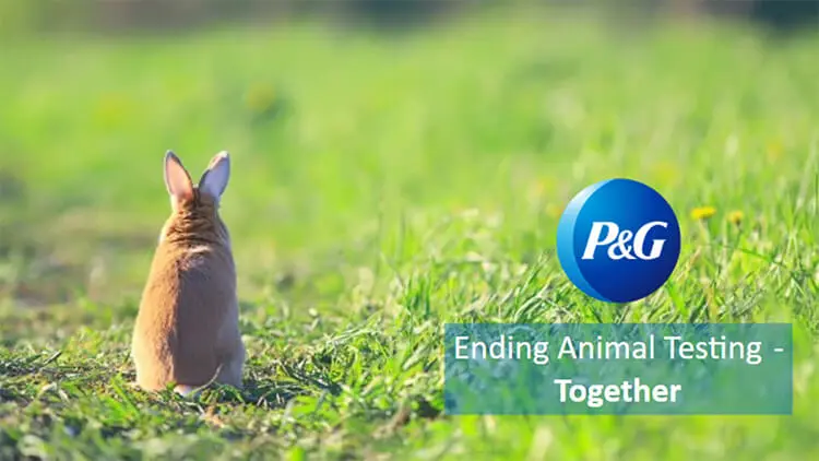 A rabbit with a light brown coat sits in the middle of a field of grass, next to the P&G logo and tagline Ending Animal Testing - Together.