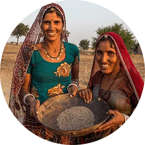 Guar farmers