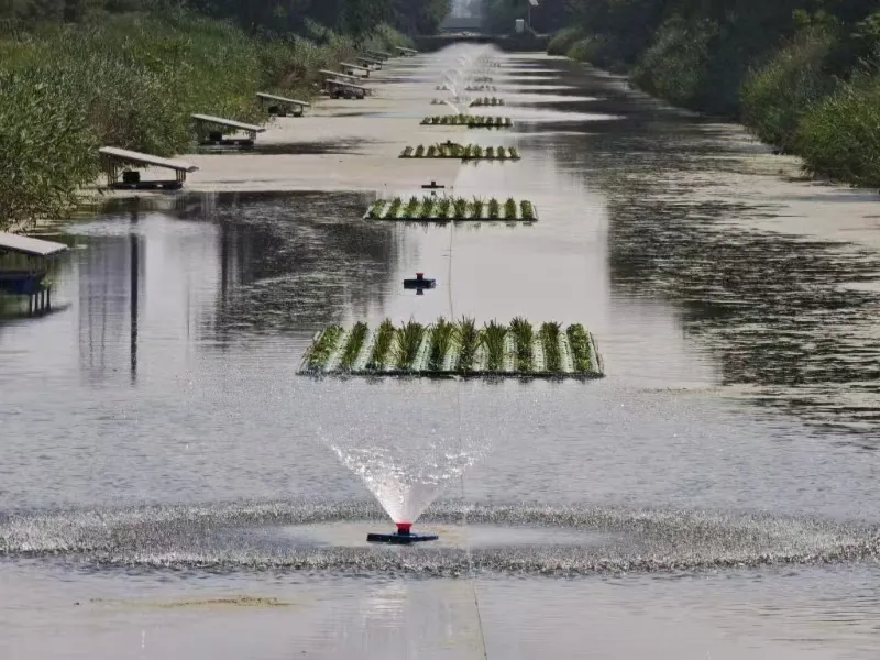 Moving water in canal with solar aerators.