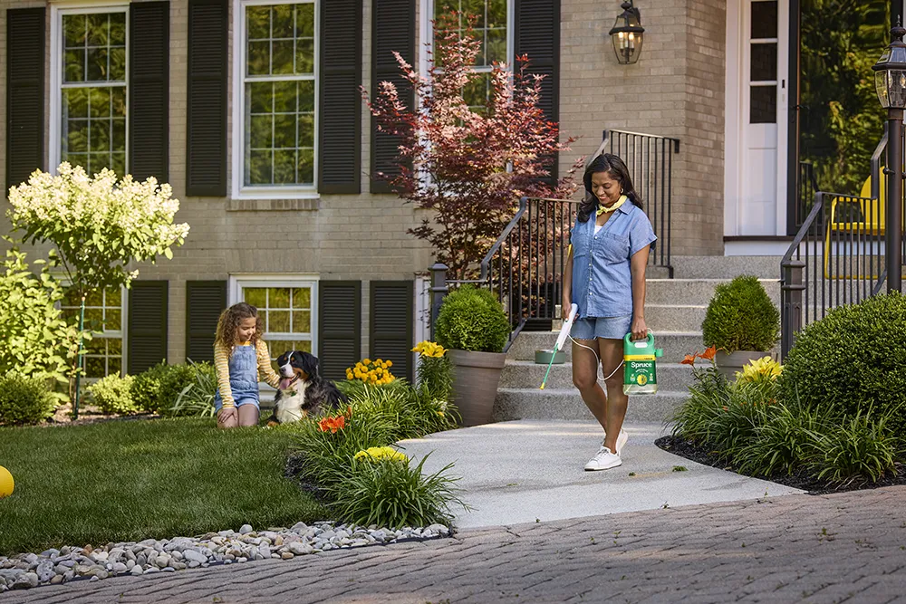 A young mom sprays a weed killer on the plants and grass in her home’s front yard. A young girl and large dog sit on a corner of the grass.