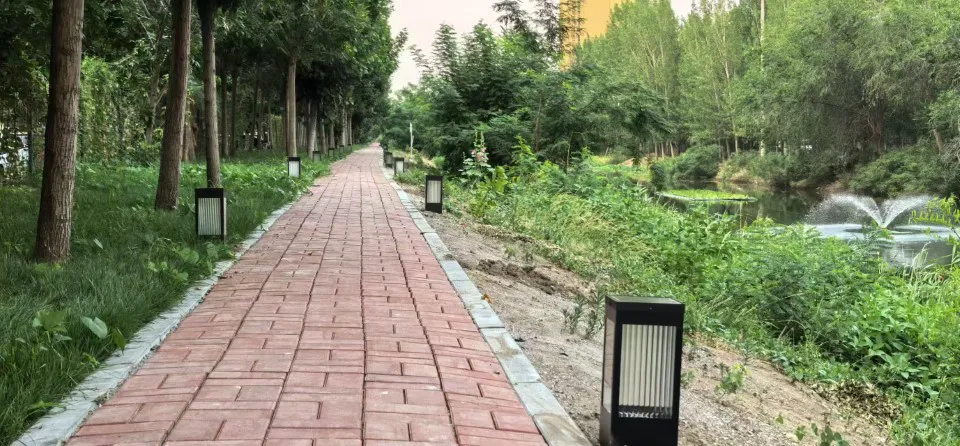 A canal bank with green plants and brick walkway USAGE RIGHTS: in perpetuity.