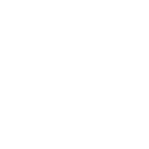 Essence