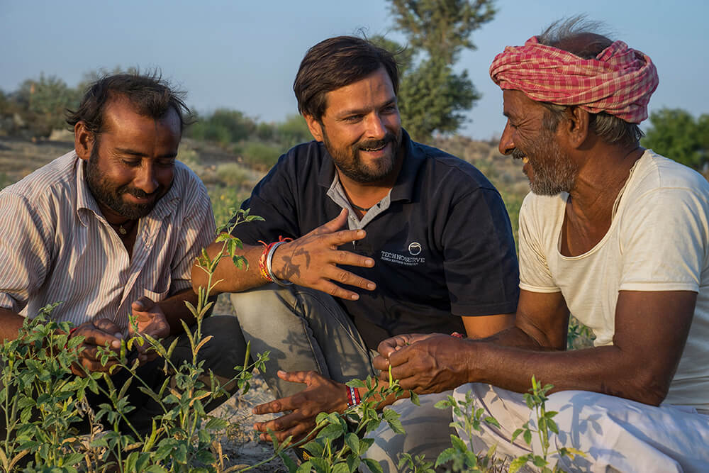 Guar farmers