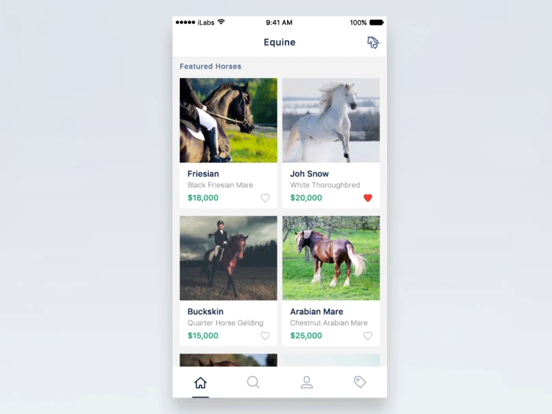 equine-search