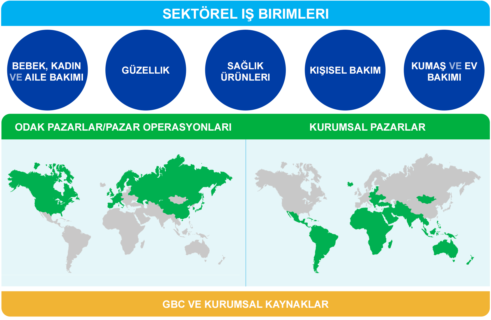 Kurumsal Yapı