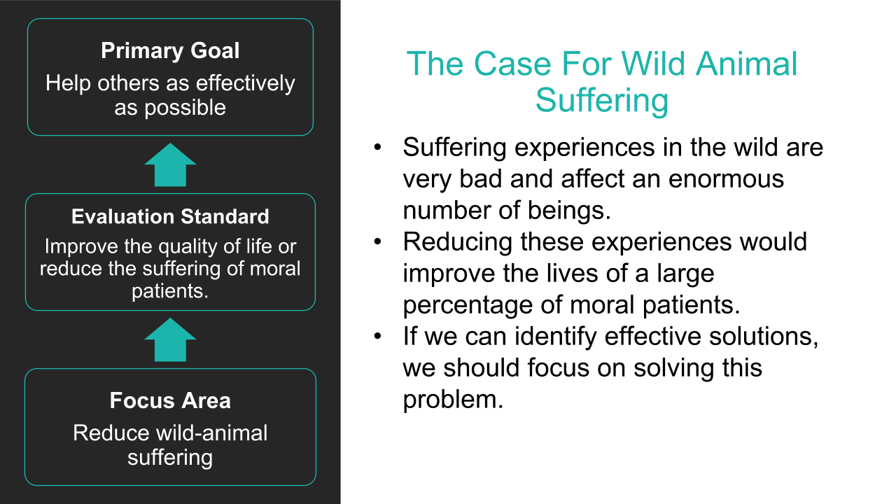 UPDATED - Crucial Considerations for Wild-Animal Suffering.pptx