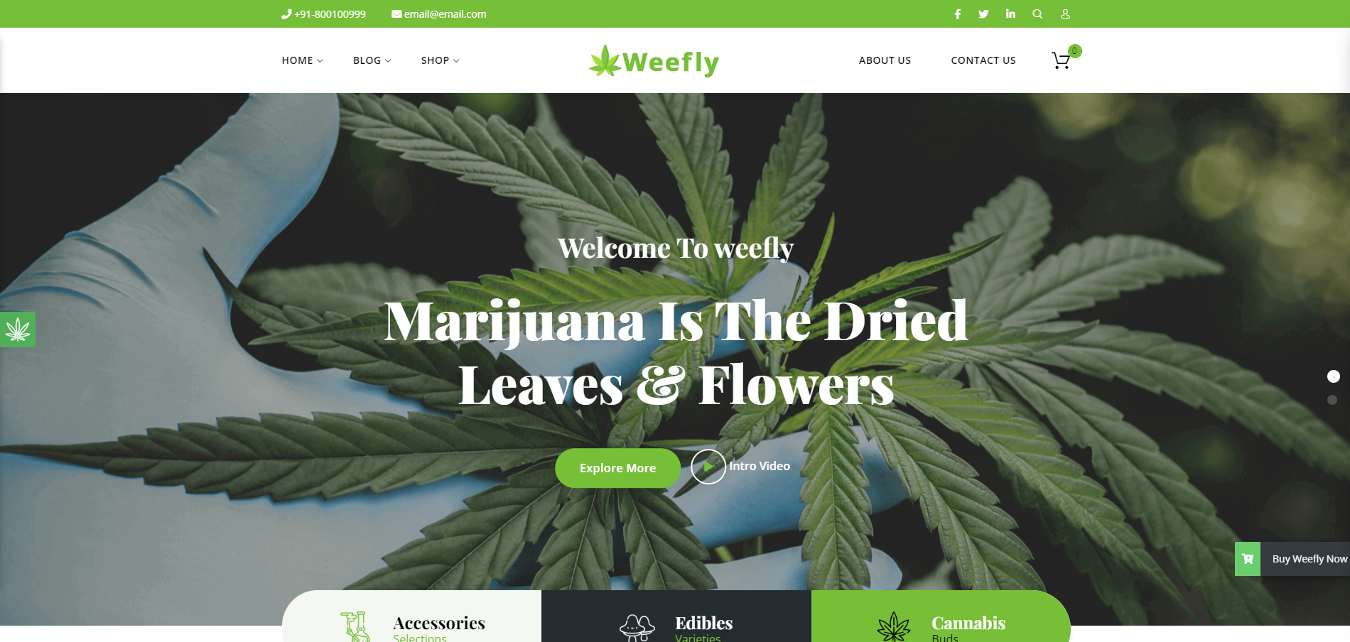 Cover Image for Online Recreational Stores