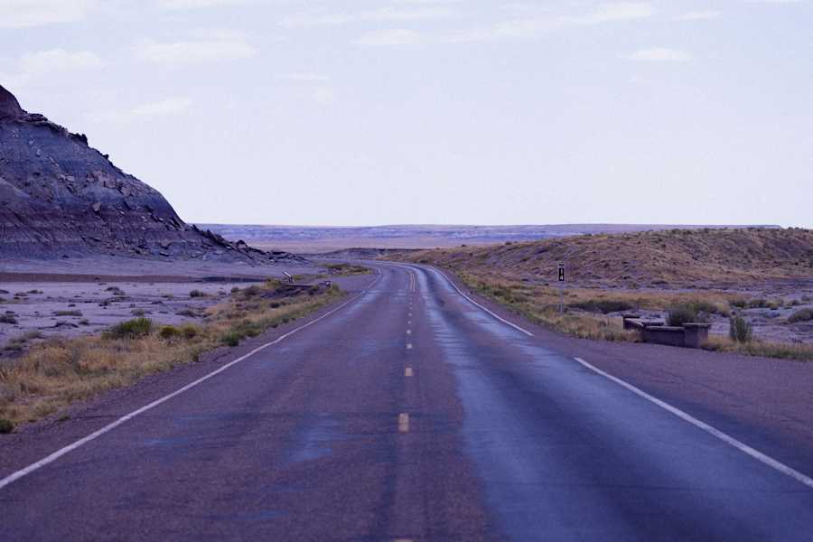 202003 export Arizona-Petrified_Forest-Travel 1104