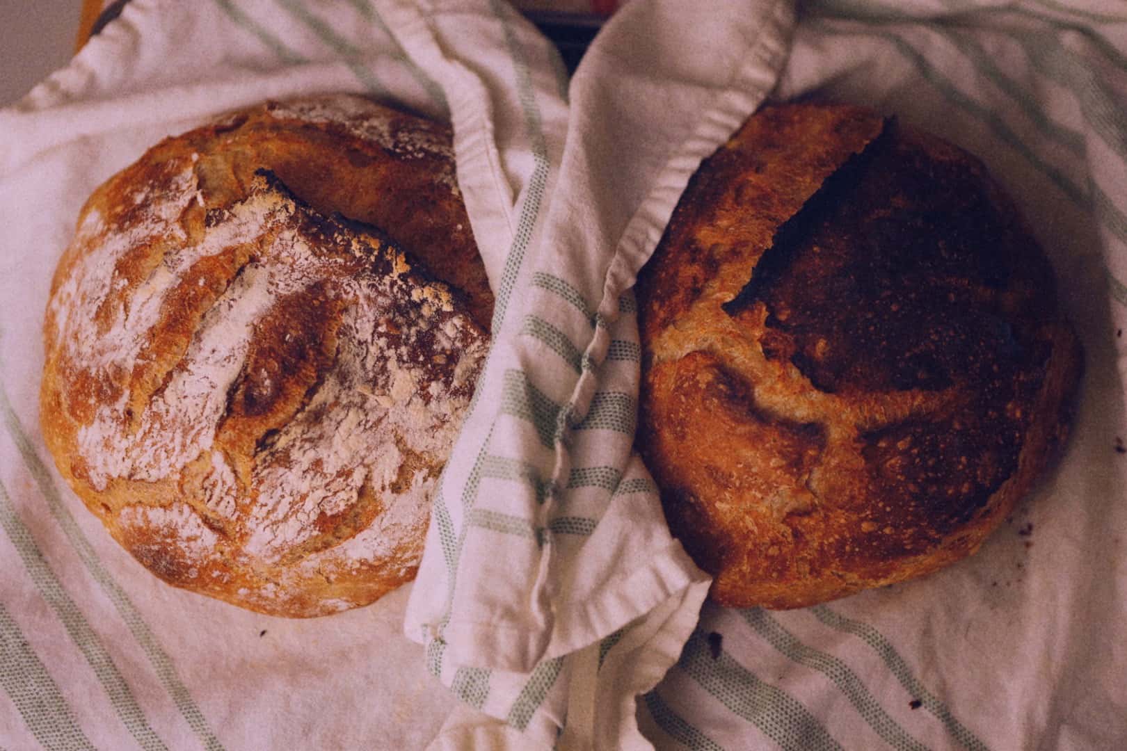 04272020-sourdough greatLoafs-post - 6