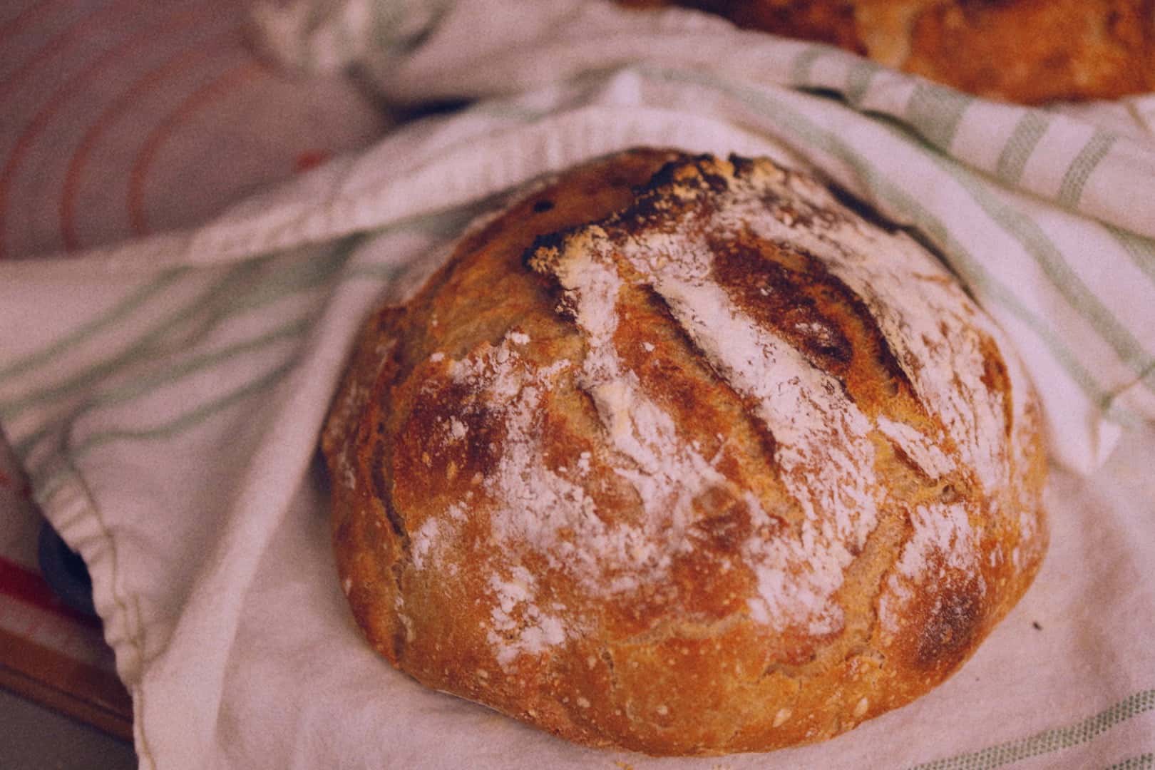04272020-sourdough greatLoafs-post - 8