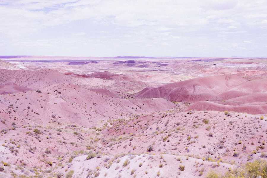 202003 export Arizona-Petrified_Forest-Travel 1090
