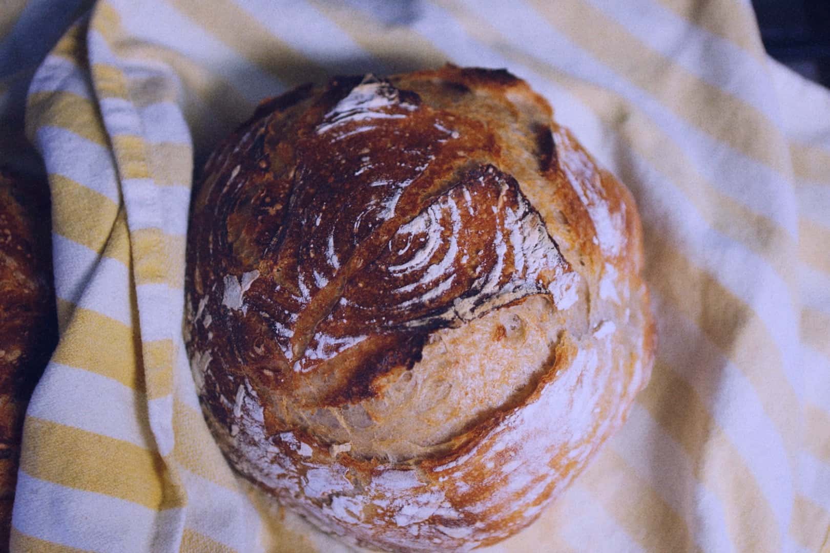 04272020-sourdough greatLoafs-post - 3