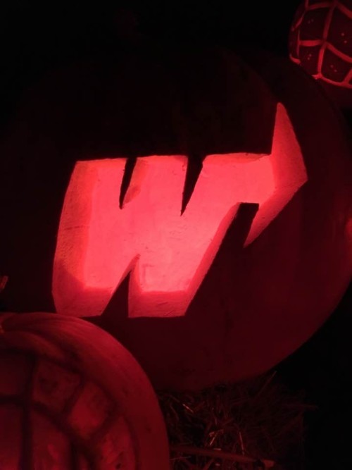 Weber State Wildcats Pumpkin Carving