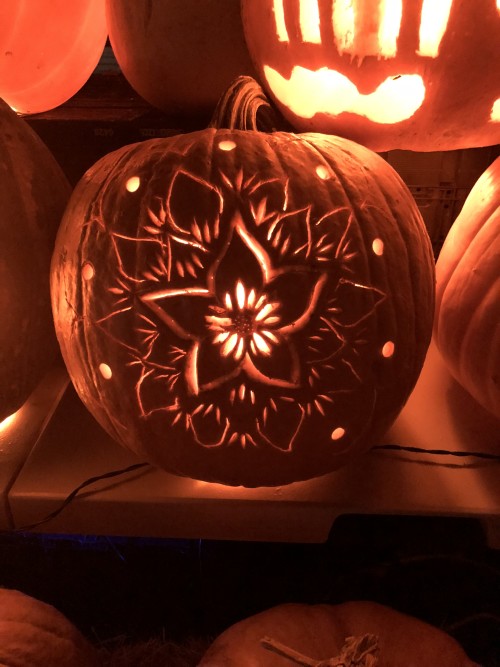 Flower Pumpkin Carvings