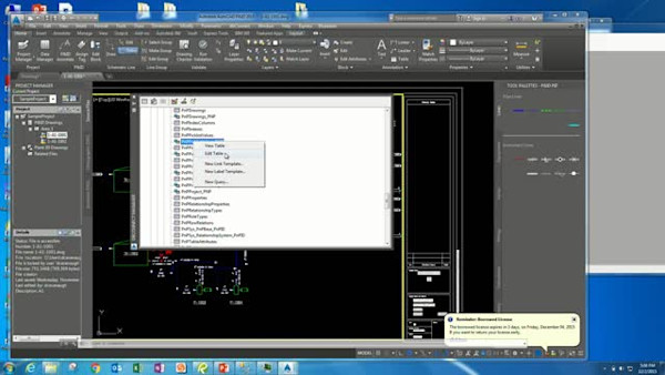 AutoCAD P&ID and AutoCAD Plant 3D: Introduction to Your Project Database