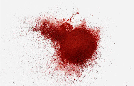 ingedients-prickly-pear