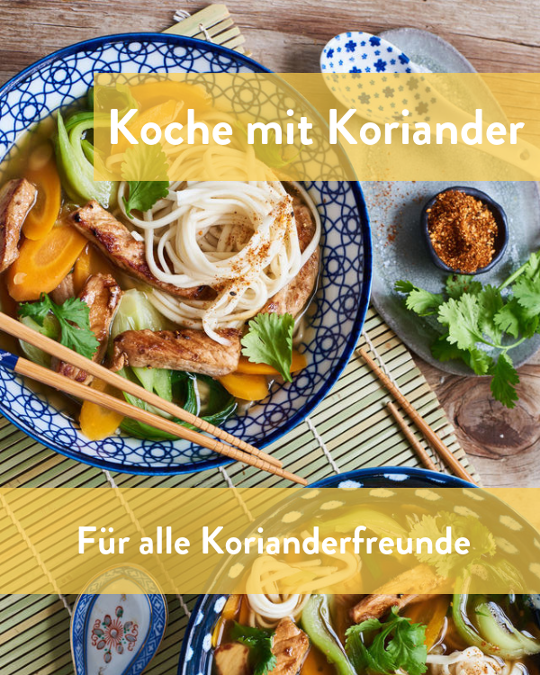 Koriander Rezepte