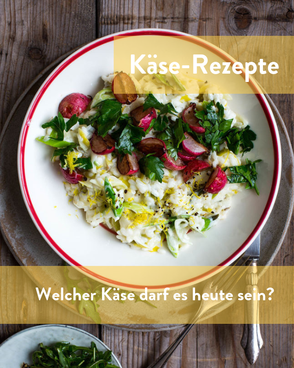 Käse-Rezepte