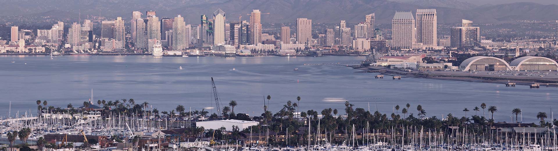 Las palmeras dominan el primer plano, mientras que a través de un cuerpo de agua se encuentran los edificios blancos y altos de San Diego en el calor.