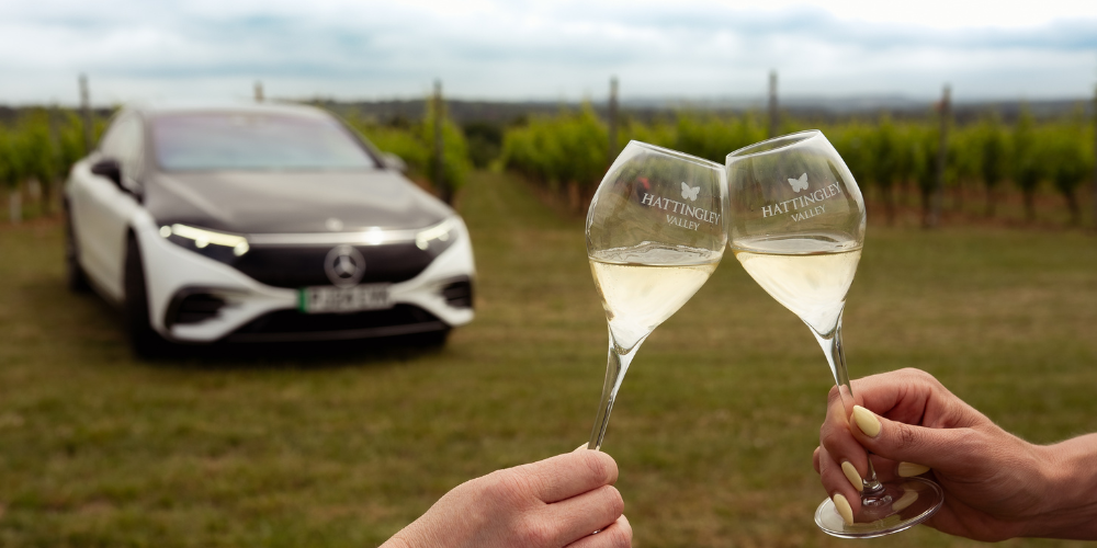 A shot of Hattingley Valley, an English vineyard specializing in sparkling wines
