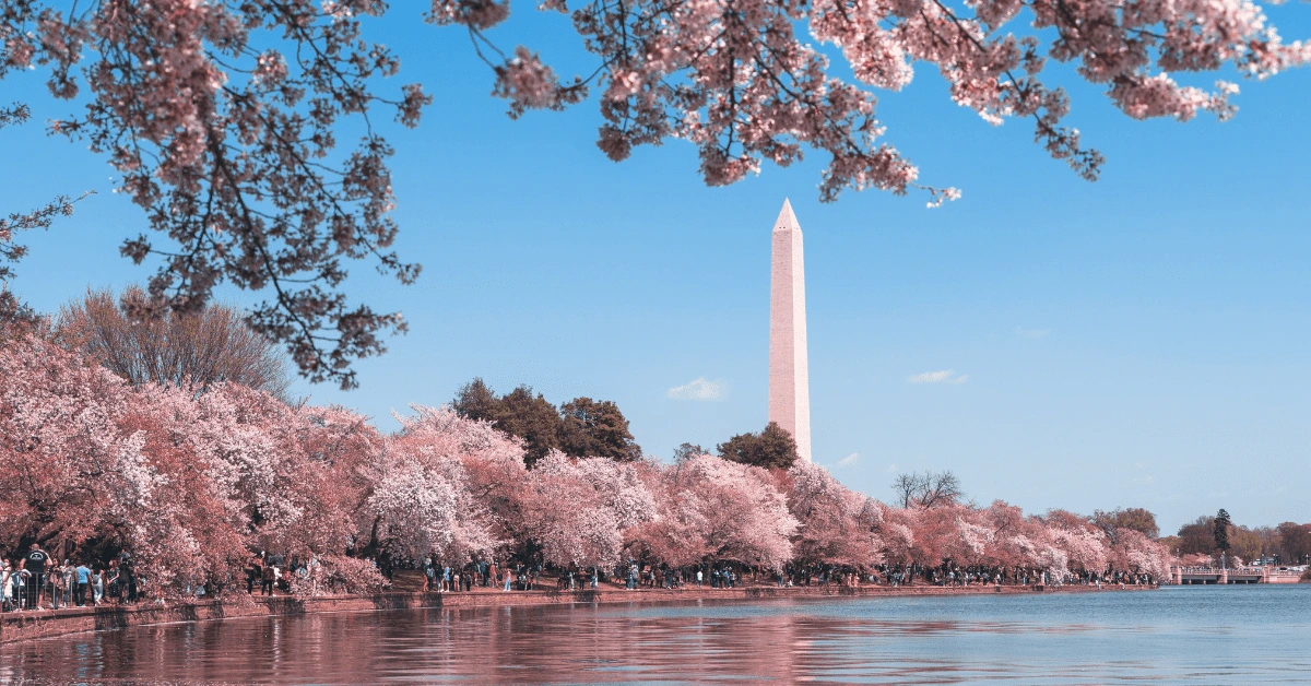 <figcaption>The Washington Monument in Washington, DC.<em> Image credit; Andy He/Unsplash</em></figcaption>