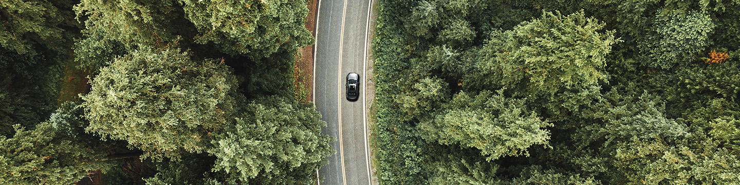 1440 px / 360 px Car driving through forest, view from above