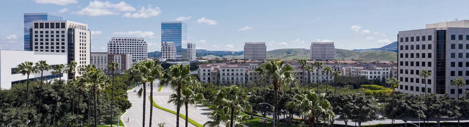 Irvine in California on a clear and sunny day, with palm trees lining a residential street.