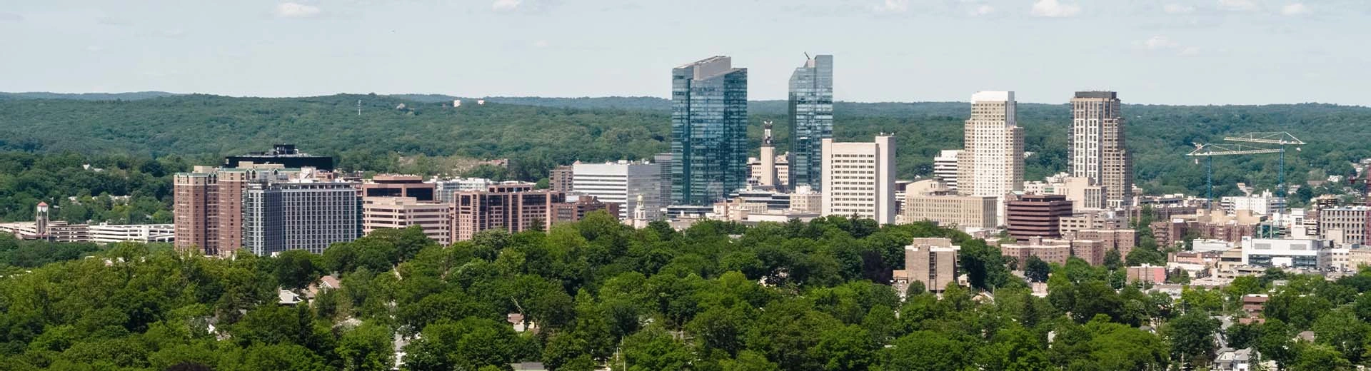 Surrounded by green forrest, the few high-rise buildings of White Plains stand tall.