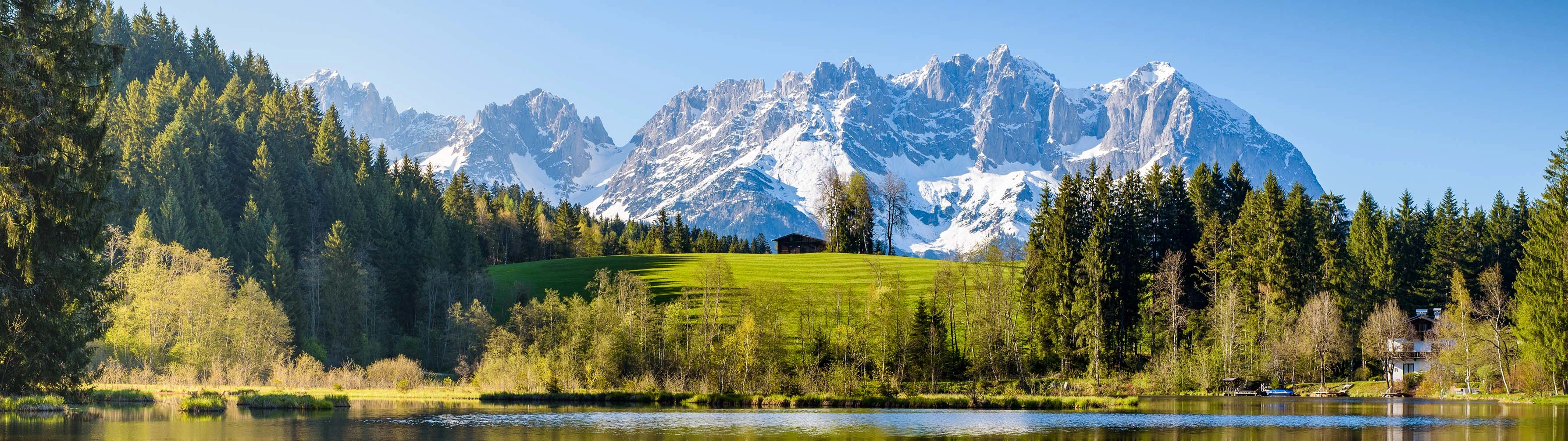 Green foliage stands before an imposing mountain in Kitzbuhel.