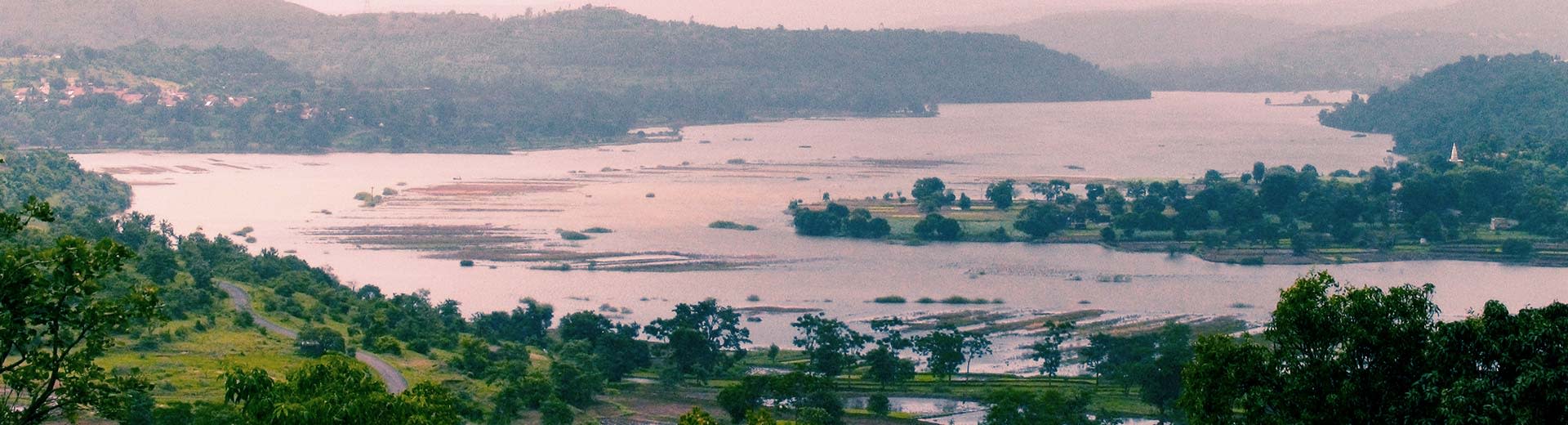 A vast, marshy wetland near Pune, with trees stretching as far as you can see in the half-light of dusk or dawn