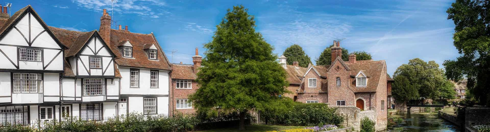 Some lovely trees and houses in Canterbury on a summer's day.