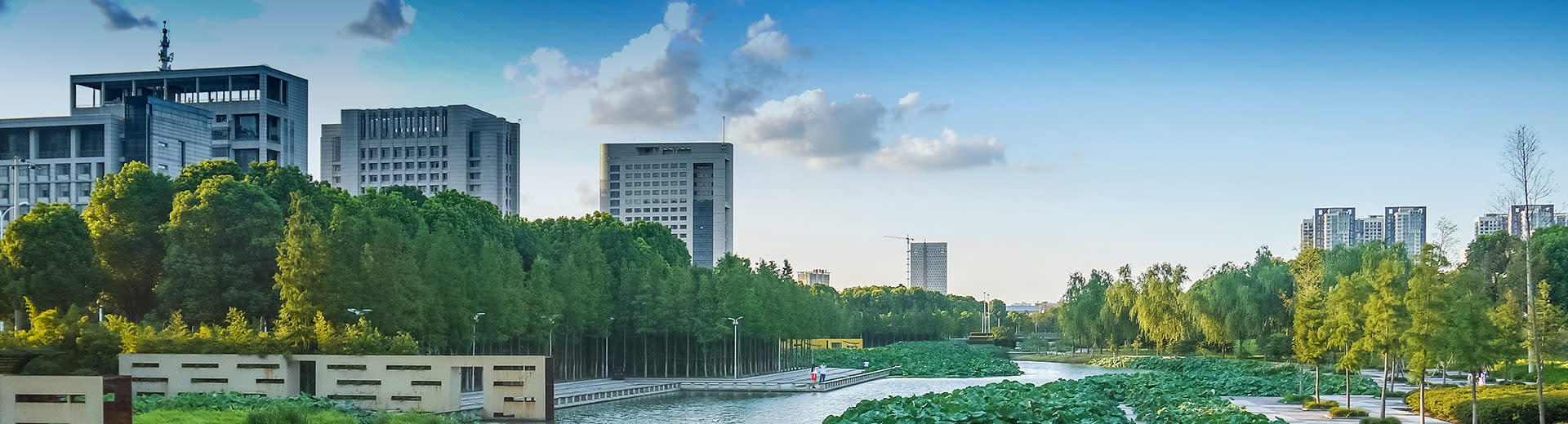 Towering skyscrapers emerge from behind rows of green trees in the beautiful city of Ningbo.