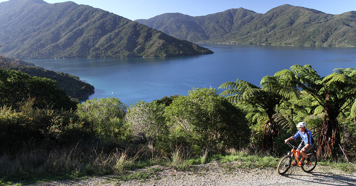 <figcaption>The Queen Charlotte Track in New Zealand is open to both hikers and cyclists. <em>Image credit: The Marlborough Lodge</em></figcaption>