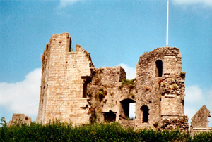 Image of Raglan Castle Ruins