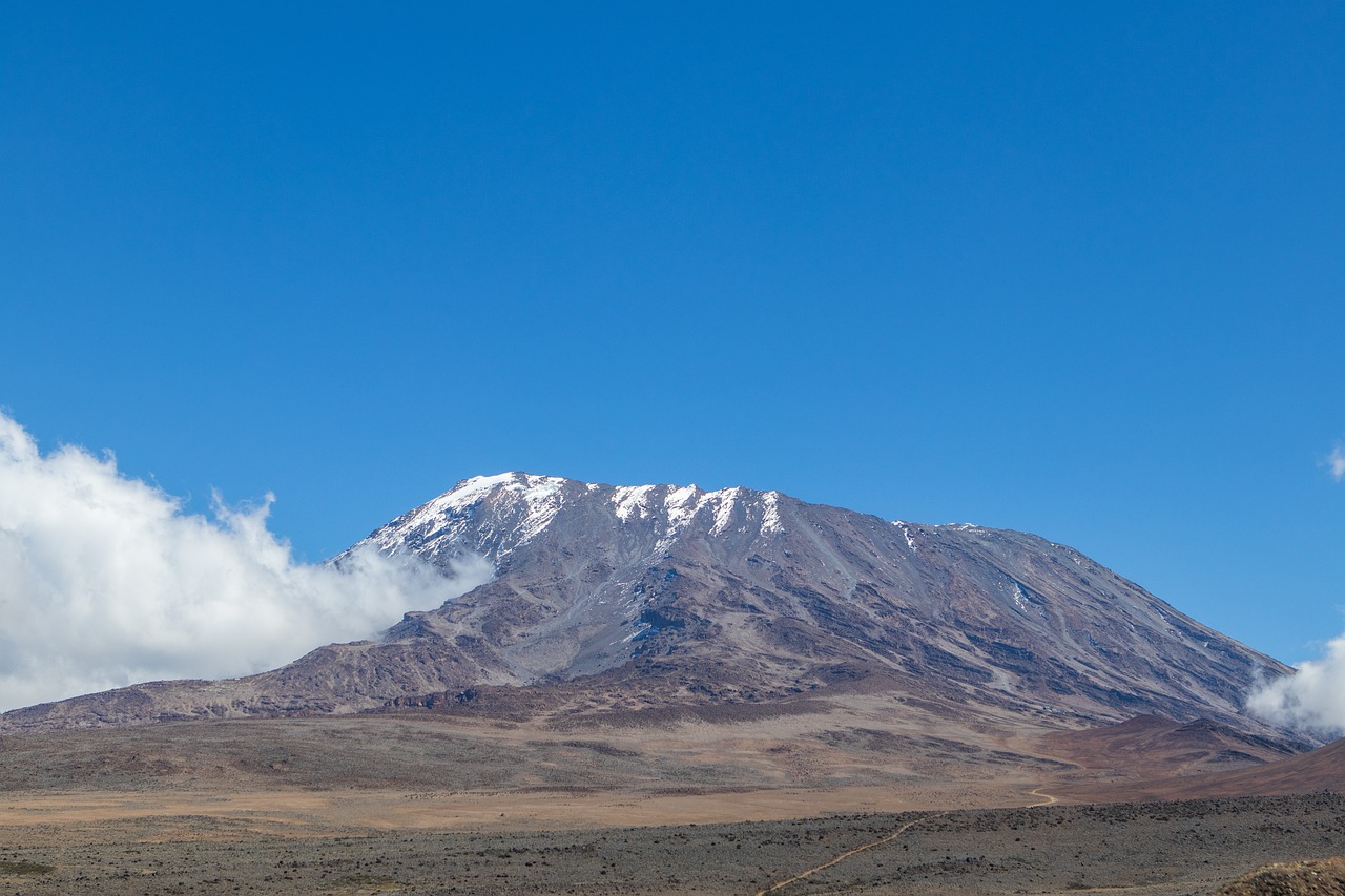 Kilimanjaro 