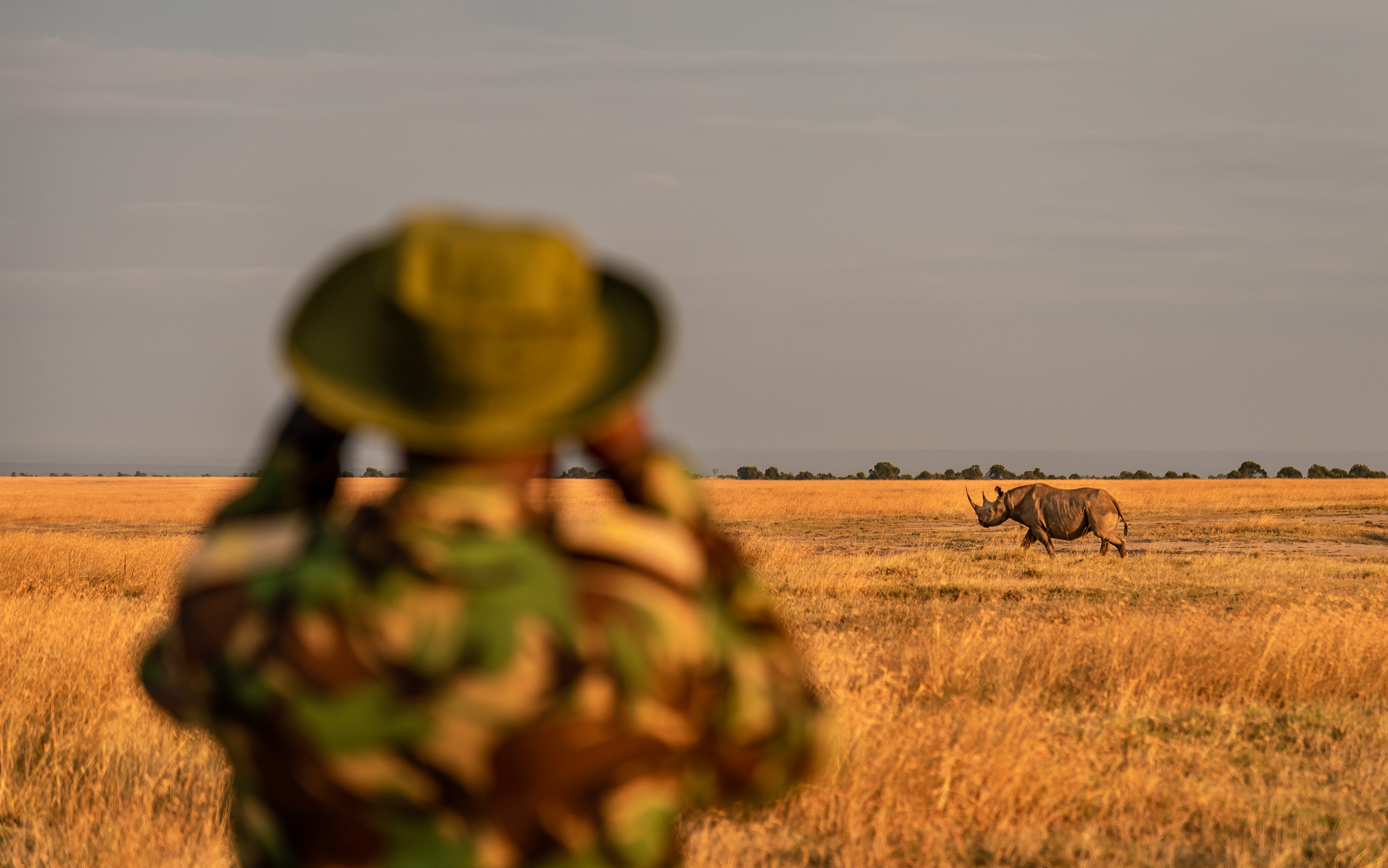 Ol Pejeta Rhino