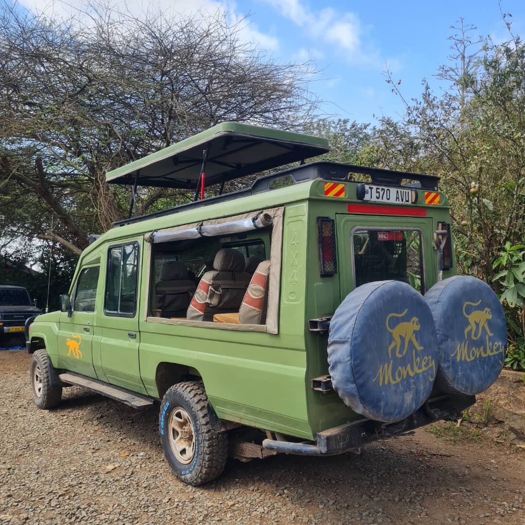 Side Canvas Land Cruiser - B