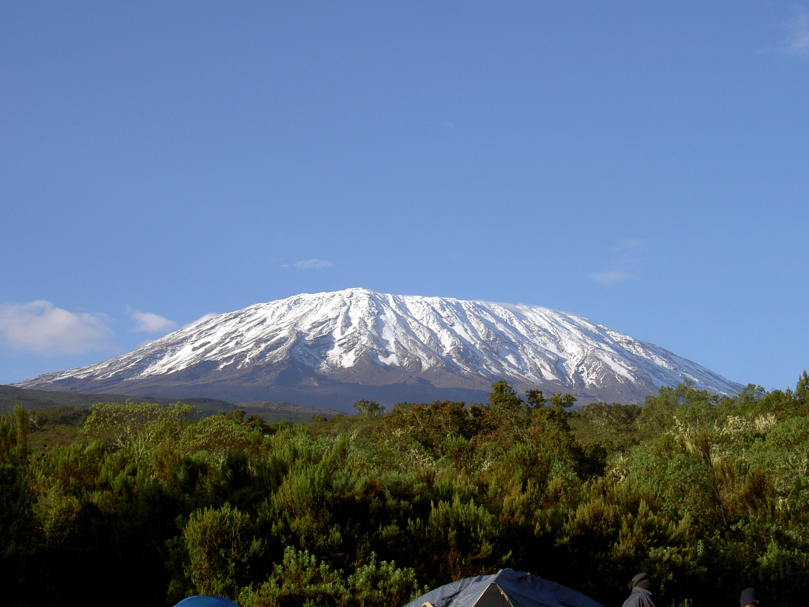 Kilimanjaro 