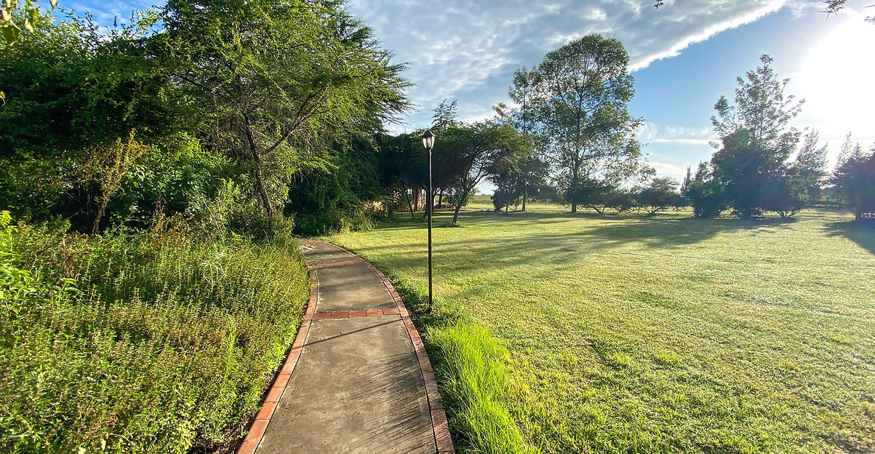 walking track