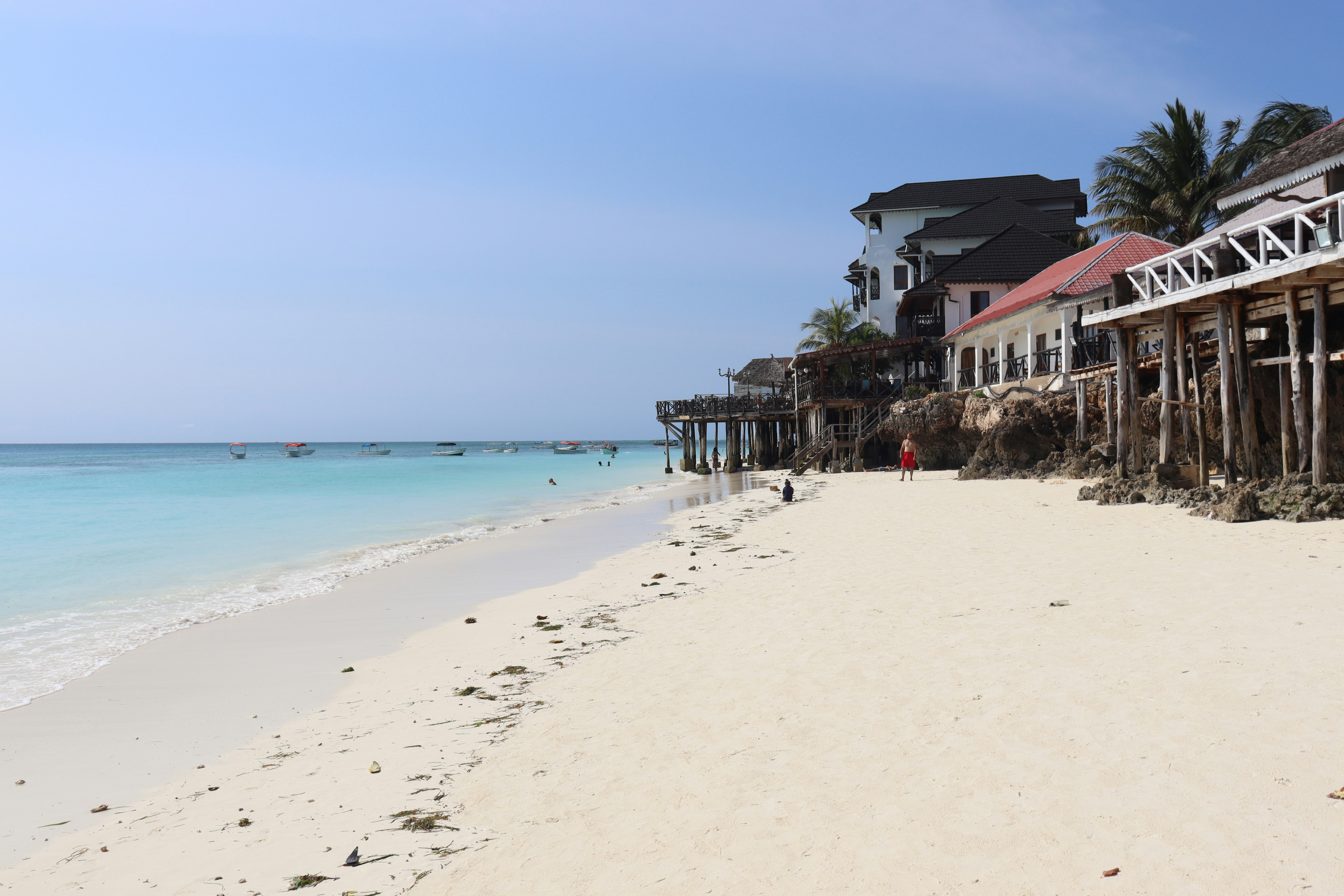 polly-sadler-glxZAuaYH M-unsplash