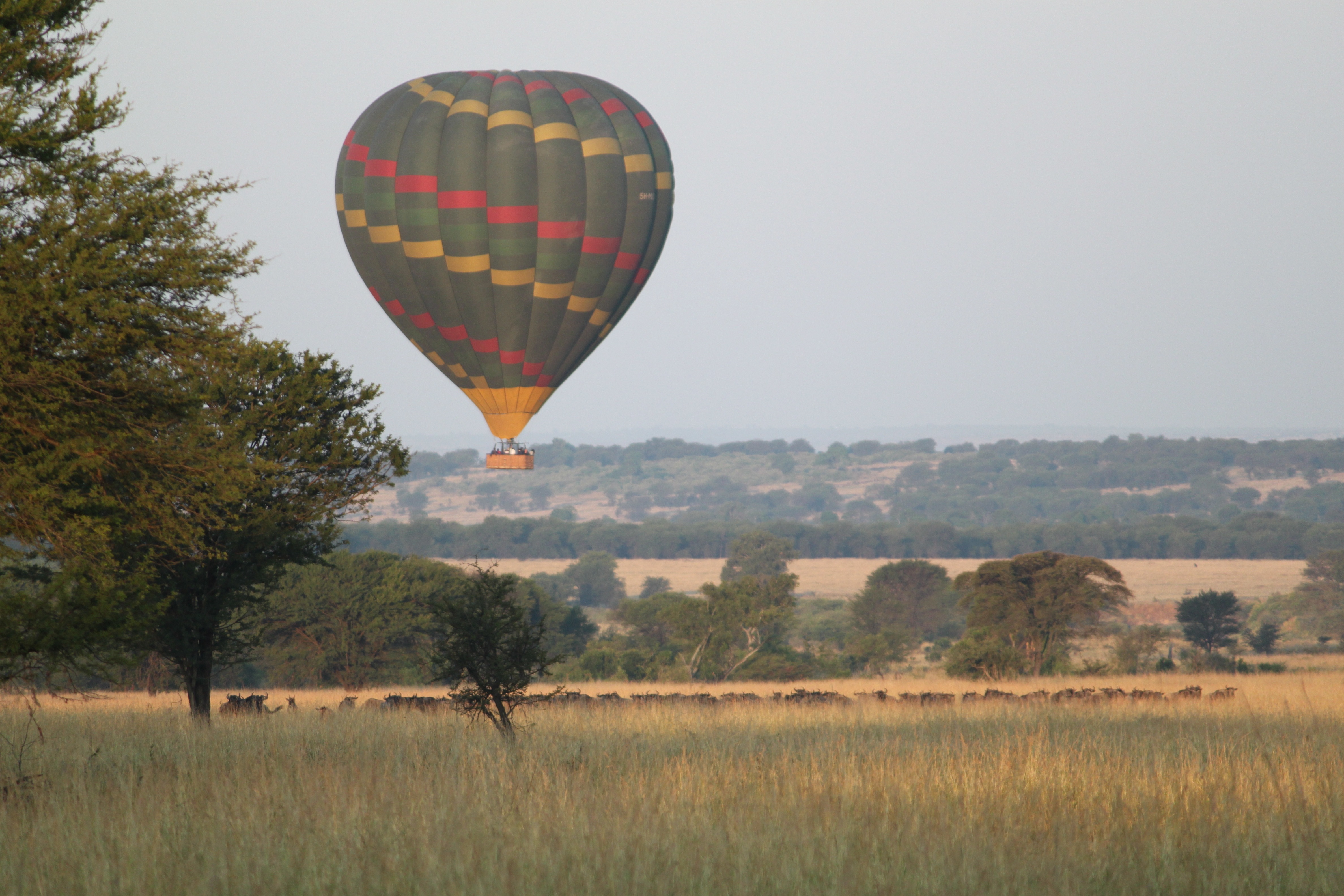 africa-3507747