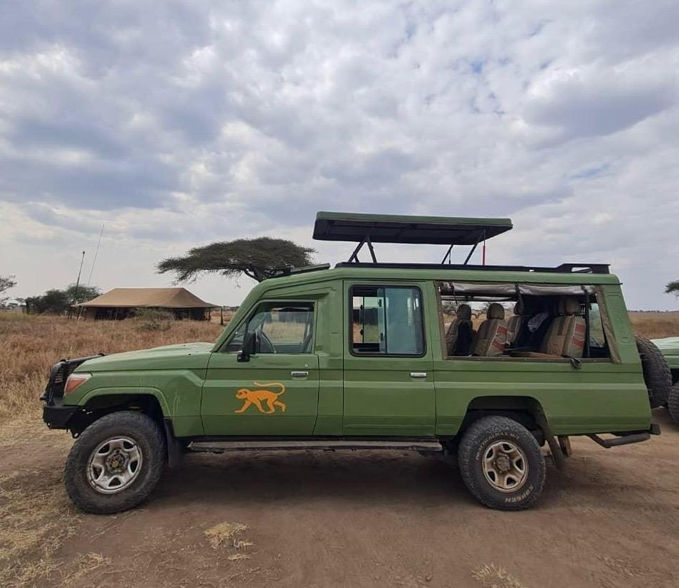 Side Canvas Land Cruisers - A