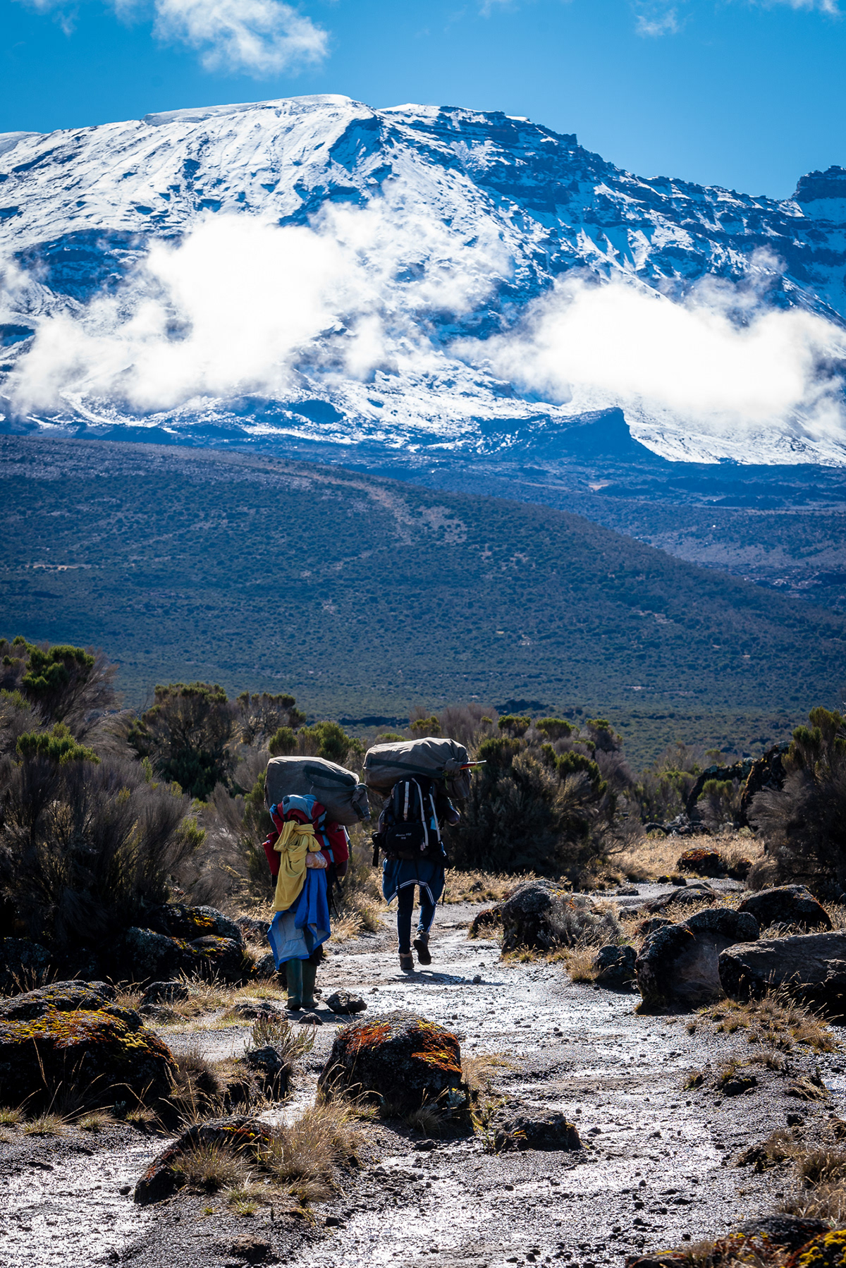 Kilimanjaro hiking