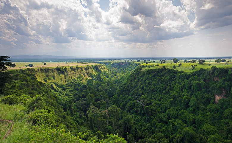 kyambura-gorge-chimpanzee-permits