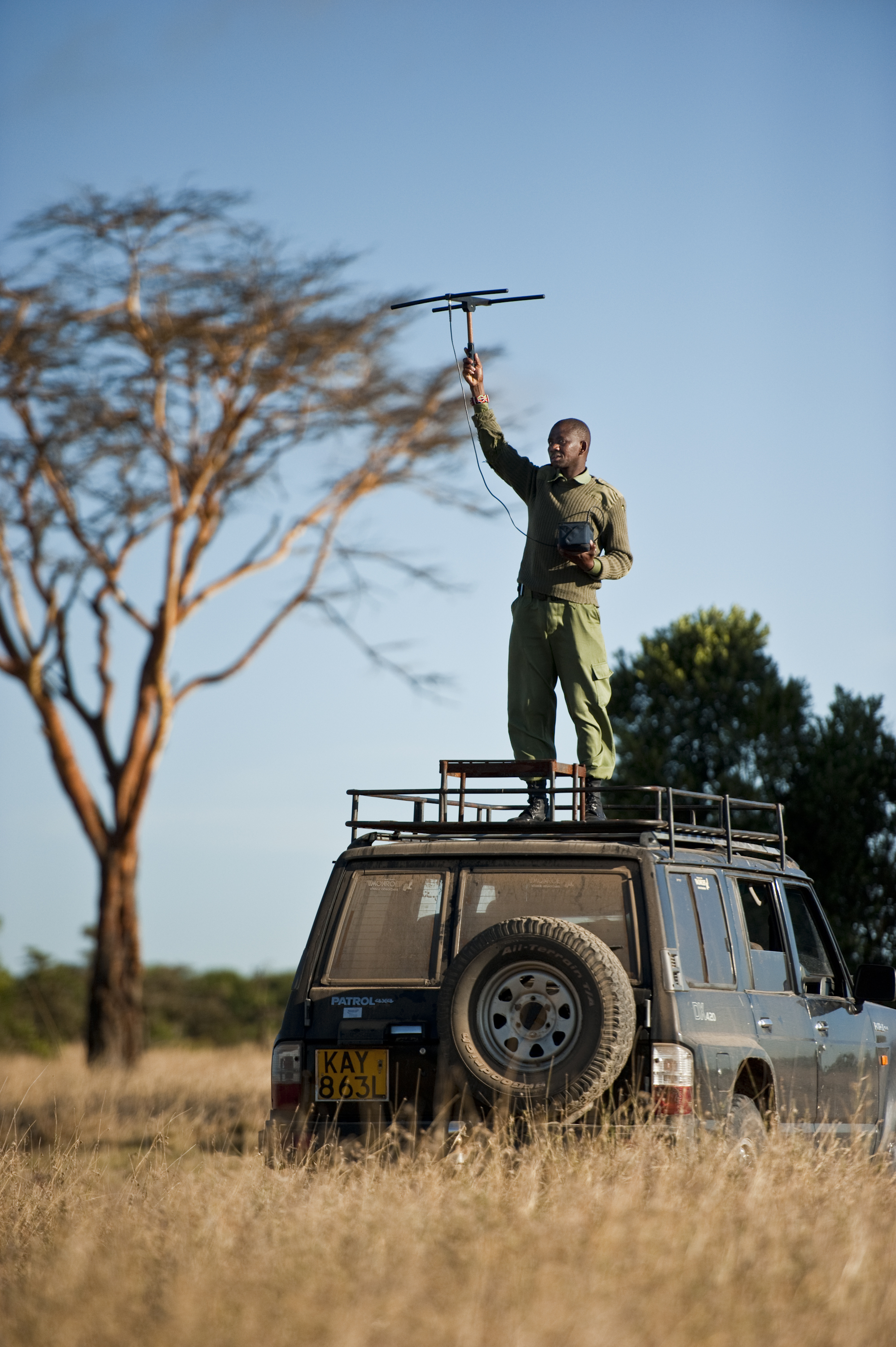 Ol Pejeta lion tracking