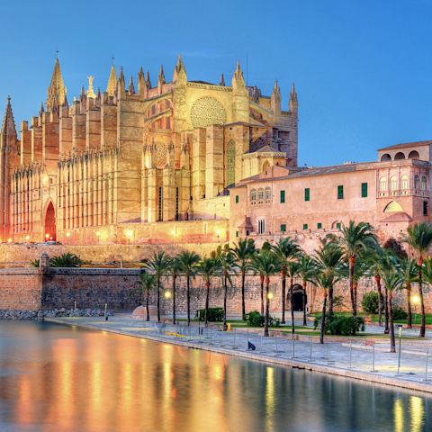 Palma