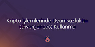 Blog Header - TR.jpg