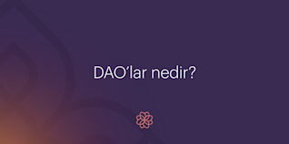Blog Header - Updates - TR