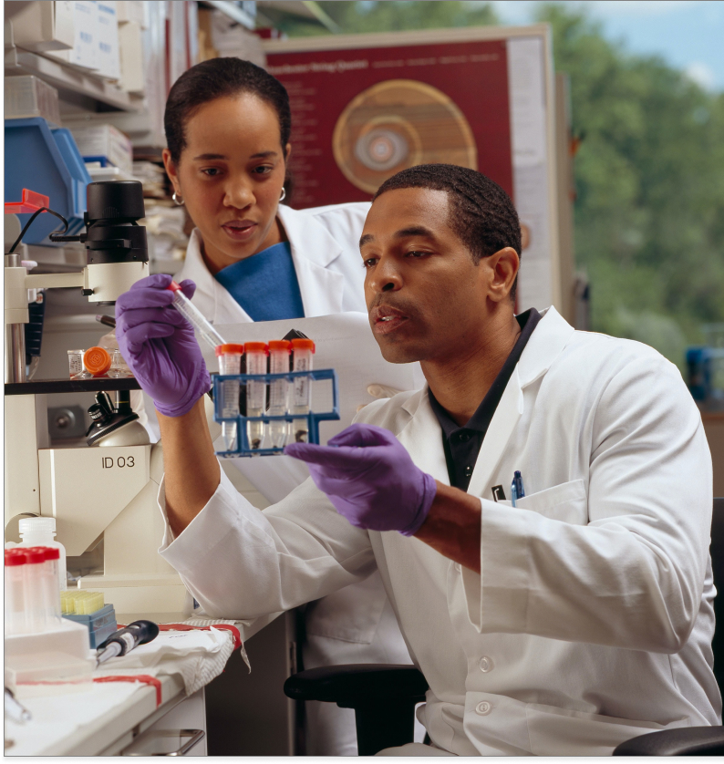 Doctors analyzing test tubes Doctors analyzing test tubes