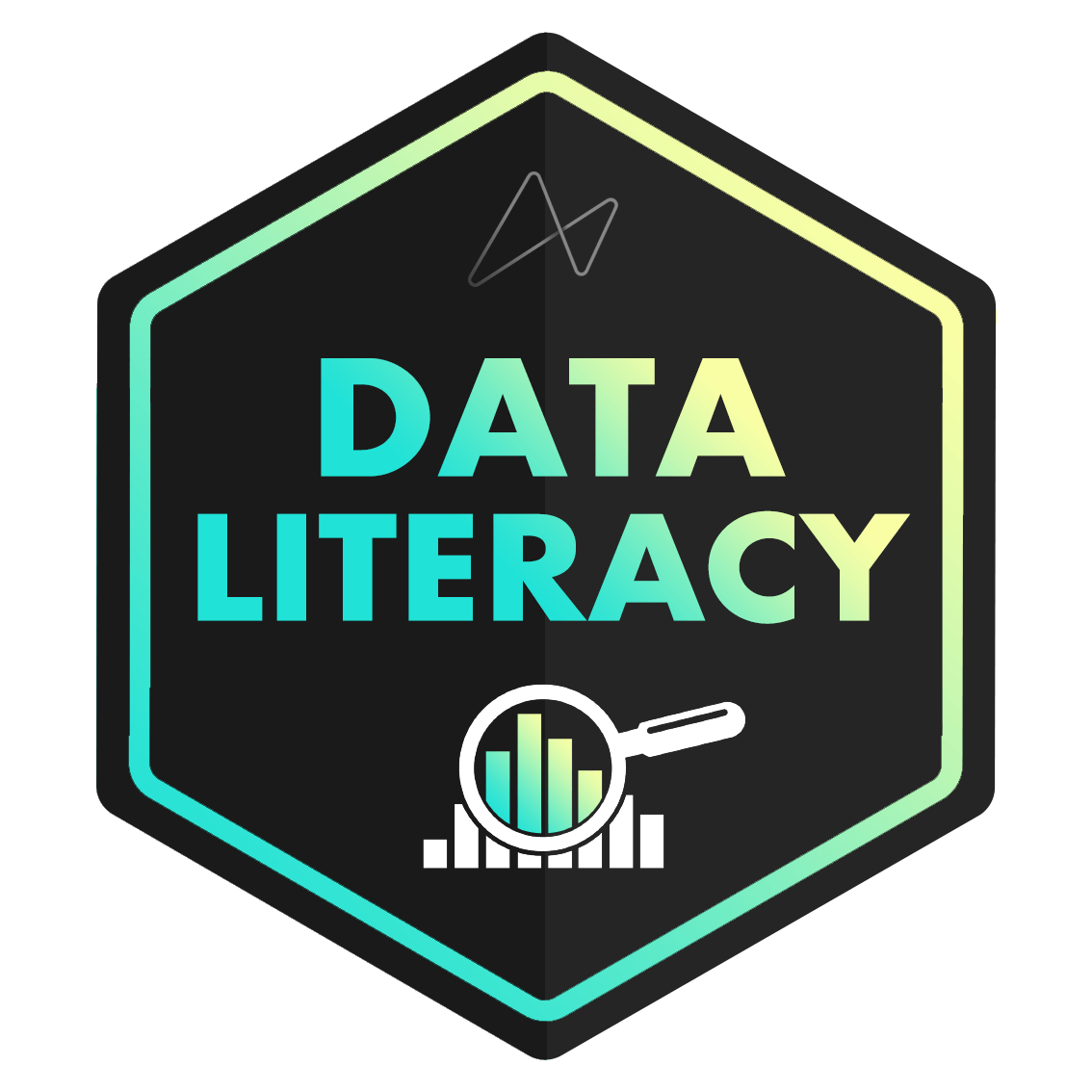 Data Literacy Foundations